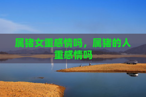 属猪女重感情吗，属猪的人重感情吗