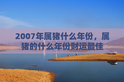 2007年属猪什么年份，属猪的什么年份财运最佳