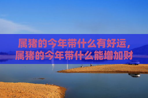 属猪的今年带什么有好运，属猪的今年带什么能增加财运