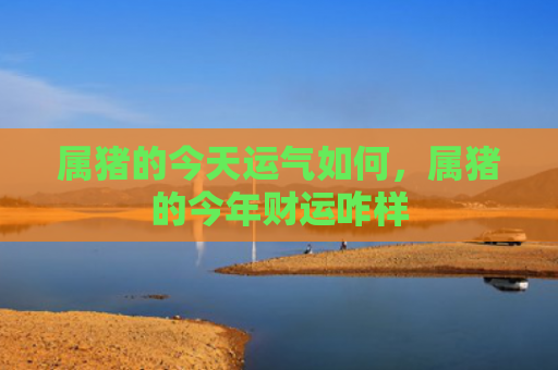 属猪的今天运气如何，属猪的今年财运咋样