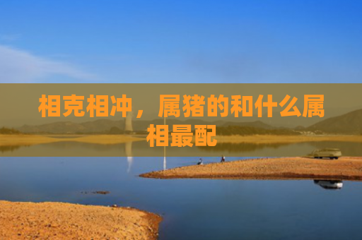 相克相冲，属猪的和什么属相最配