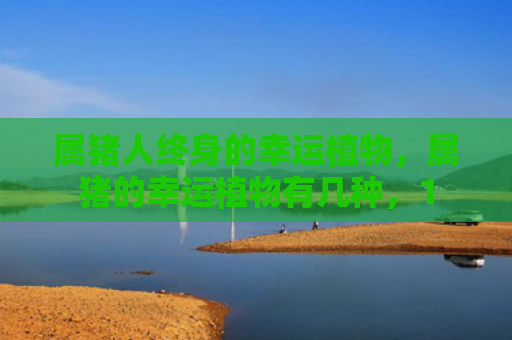 属猪人终身的幸运植物，属猪的幸运植物有几种，1