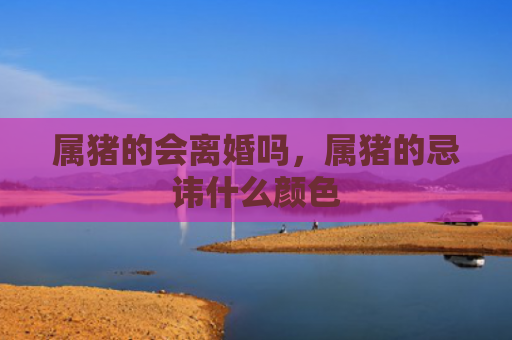 属猪的会离婚吗，属猪的忌讳什么颜色