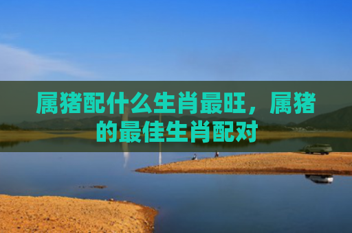 属猪配什么生肖最旺，属猪的最佳生肖配对
