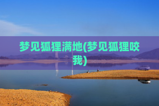 梦见狐狸满地(梦见狐狸咬我)