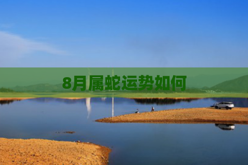 8月属蛇运势如何