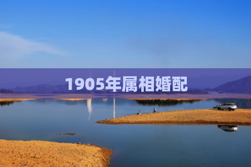 1905年属相婚配