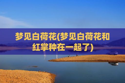 梦见白荷花(梦见白荷花和红掌种在一起了)