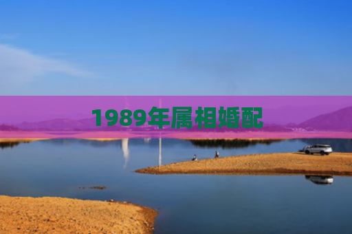 1989年属相婚配