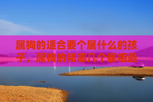属狗的适合要个属什么的孩子，属狗的和哪几个属相最合