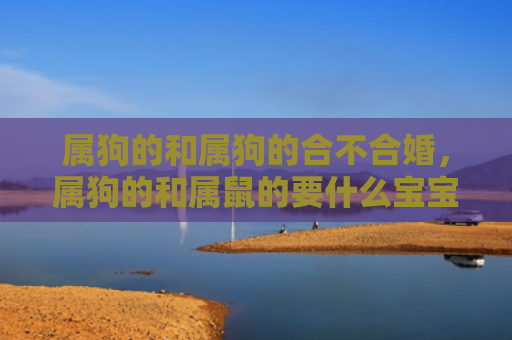 属狗的和属狗的合不合婚，属狗的和属鼠的要什么宝宝比较好