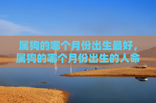 属狗的哪个月份出生最好，属狗的哪个月份出生的人命好