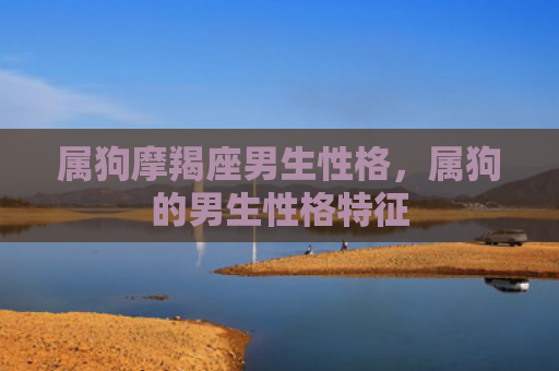 属狗摩羯座男生性格，属狗的男生性格特征
