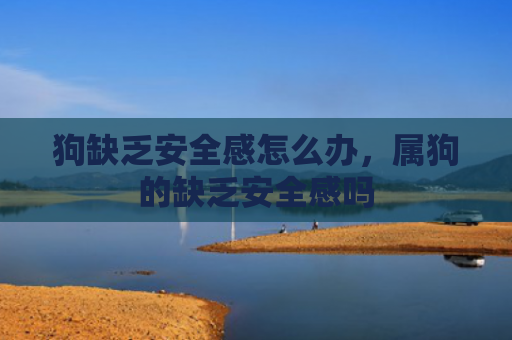 狗缺乏安全感怎么办，属狗的缺乏安全感吗
