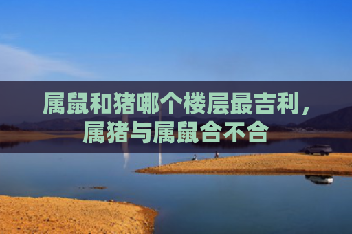 属鼠和猪哪个楼层最吉利，属猪与属鼠合不合