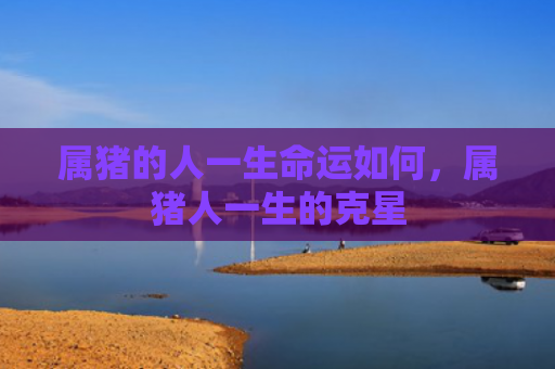 属猪的人一生命运如何，属猪人一生的克星