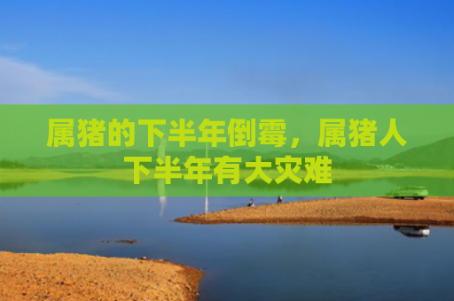 属猪的下半年倒霉，属猪人下半年有大灾难