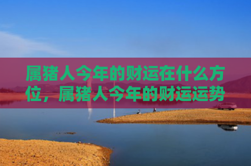 属猪人今年的财运在什么方位，属猪人今年的财运运势