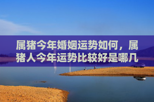 属猪今年婚姻运势如何，属猪人今年运势比较好是哪几个月