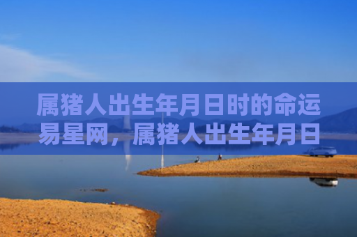 属猪人出生年月日时的命运易星网，属猪人出生年月日时间命运