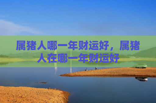 属猪人哪一年财运好，属猪人在哪一年财运好