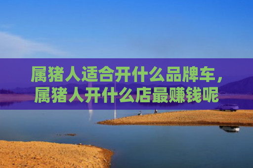 属猪人适合开什么品牌车，属猪人开什么店最赚钱呢