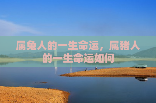 属兔人的一生命运，属猪人的一生命运如何