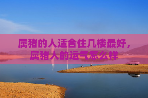 属猪的人适合住几楼最好，属猪人的运气怎么样