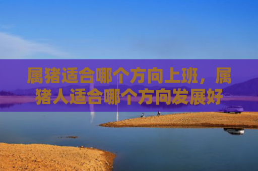 属猪适合哪个方向上班，属猪人适合哪个方向发展好