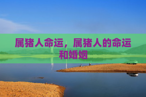 属猪人命运，属猪人的命运和婚姻