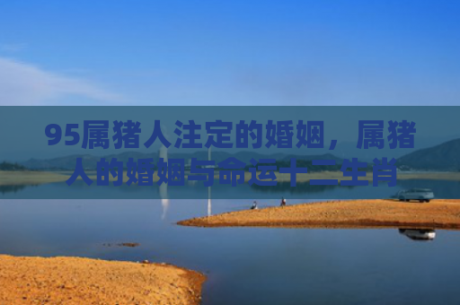 95属猪人注定的婚姻，属猪人的婚姻与命运十二生肖