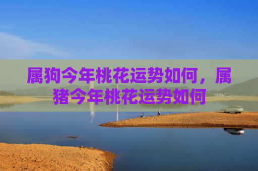 属狗今年桃花运势如何，属猪今年桃花运势如何