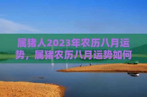 属猪人2023年农历八月运势，属猪农历八月运势如何