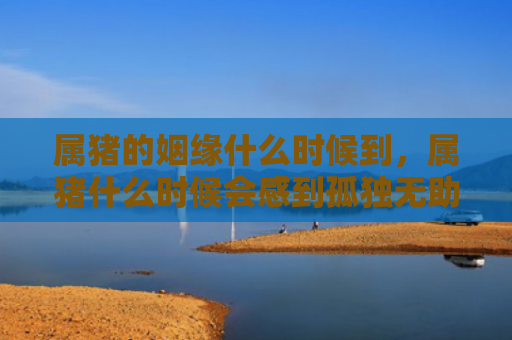 属猪的姻缘什么时候到，属猪什么时候会感到孤独无助