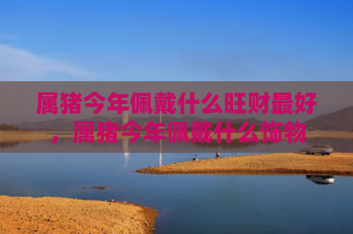 属猪今年佩戴什么旺财最好，属猪今年佩戴什么饰物