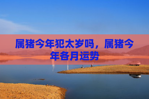属猪今年犯太岁吗，属猪今年各月运势