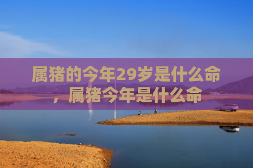 属猪的今年29岁是什么命，属猪今年是什么命