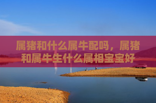属猪和什么属牛配吗，属猪和属牛生什么属相宝宝好