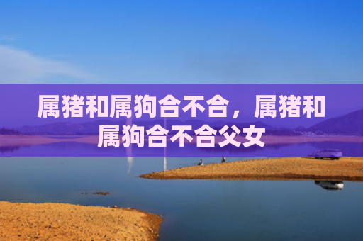 属猪和属狗合不合，属猪和属狗合不合父女