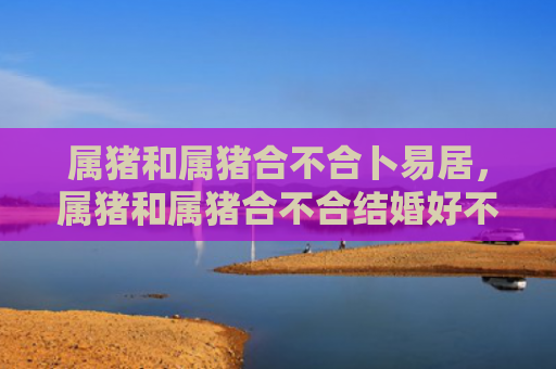 属猪和属猪合不合卜易居，属猪和属猪合不合结婚好不好
