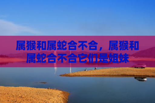 属猴和属蛇合不合，属猴和属蛇合不合它们是姐妹