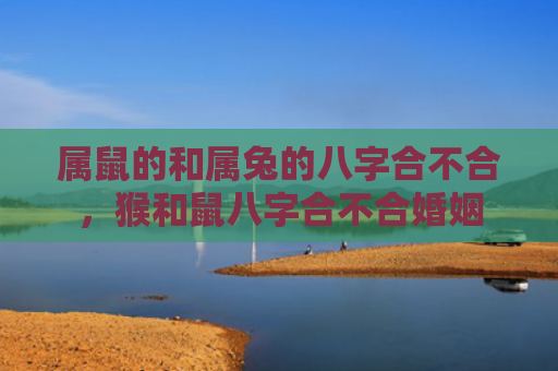 属鼠的和属兔的八字合不合，猴和鼠八字合不合婚姻