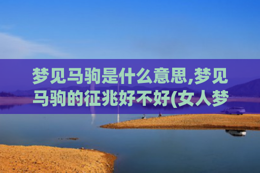 梦见马驹是什么意思,梦见马驹的征兆好不好(女人梦见马下马驹是什么意思啊)
