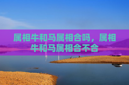 属相牛和马属相合吗，属相牛和马属相合不合