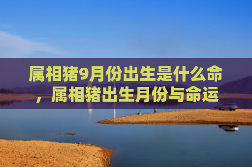 属相猪9月份出生是什么命，属相猪出生月份与命运
