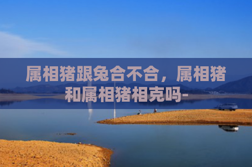 属相猪跟兔合不合，属相猪和属相猪相克吗-