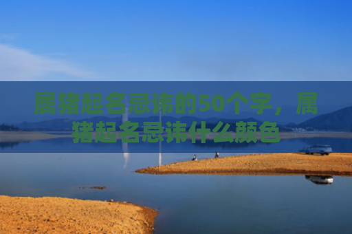 属猪起名忌讳的50个字，属猪起名忌讳什么颜色