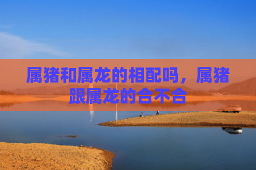属猪和属龙的相配吗，属猪跟属龙的合不合
