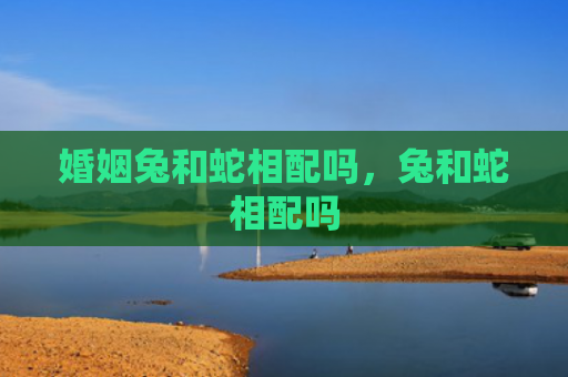 婚姻兔和蛇相配吗，兔和蛇相配吗