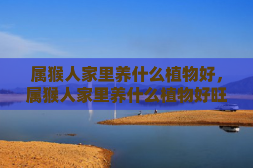 属猴人家里养什么植物好，属猴人家里养什么植物好旺财